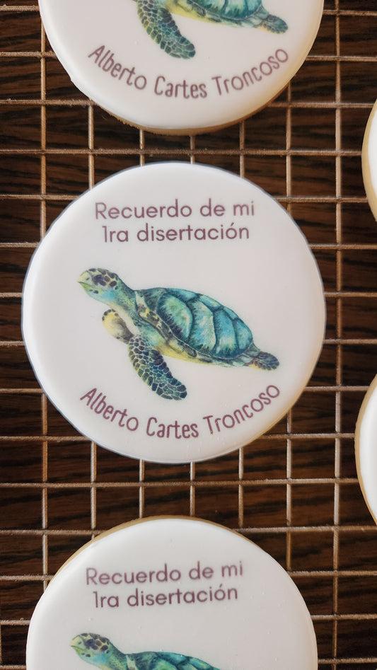 Recuerdos - Disertación tortuga marina