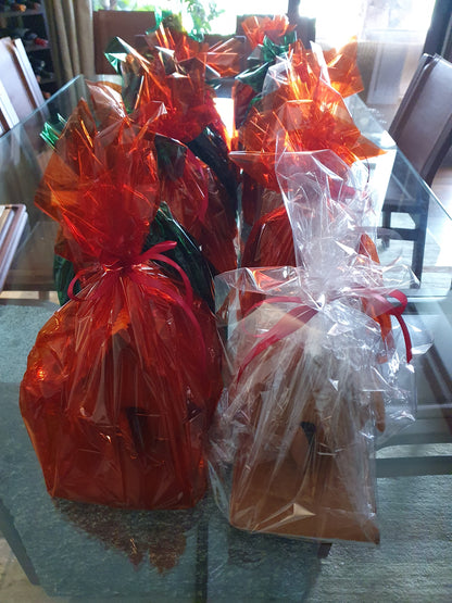 Celebraciones anuales - Navidad, casa de galleta para decorar