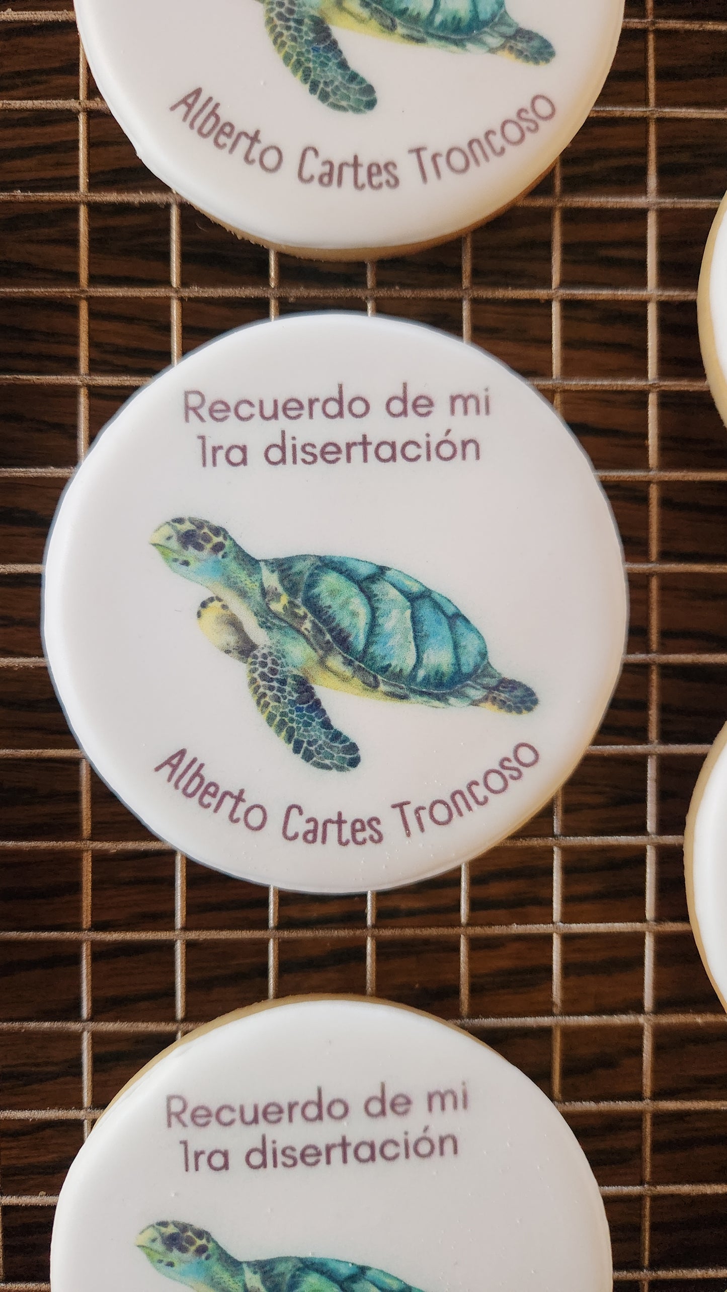 Recuerdos - Disertación tortuga marina