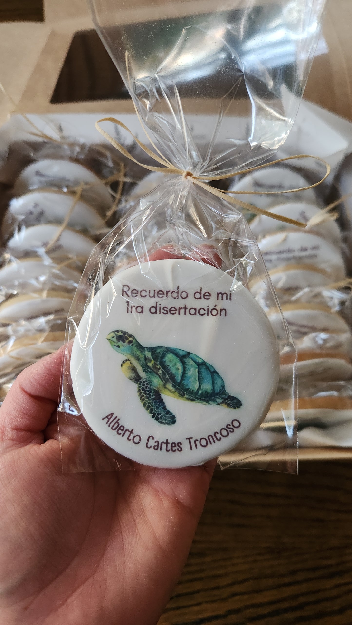 Recuerdos - Disertación tortuga marina