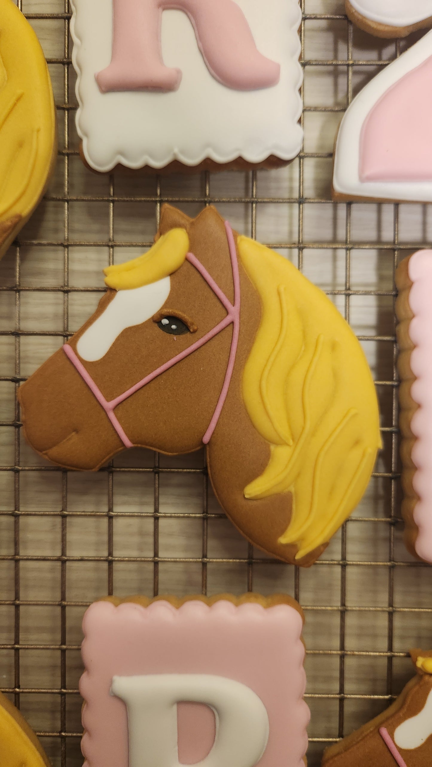 Cumpleaños - Caballos