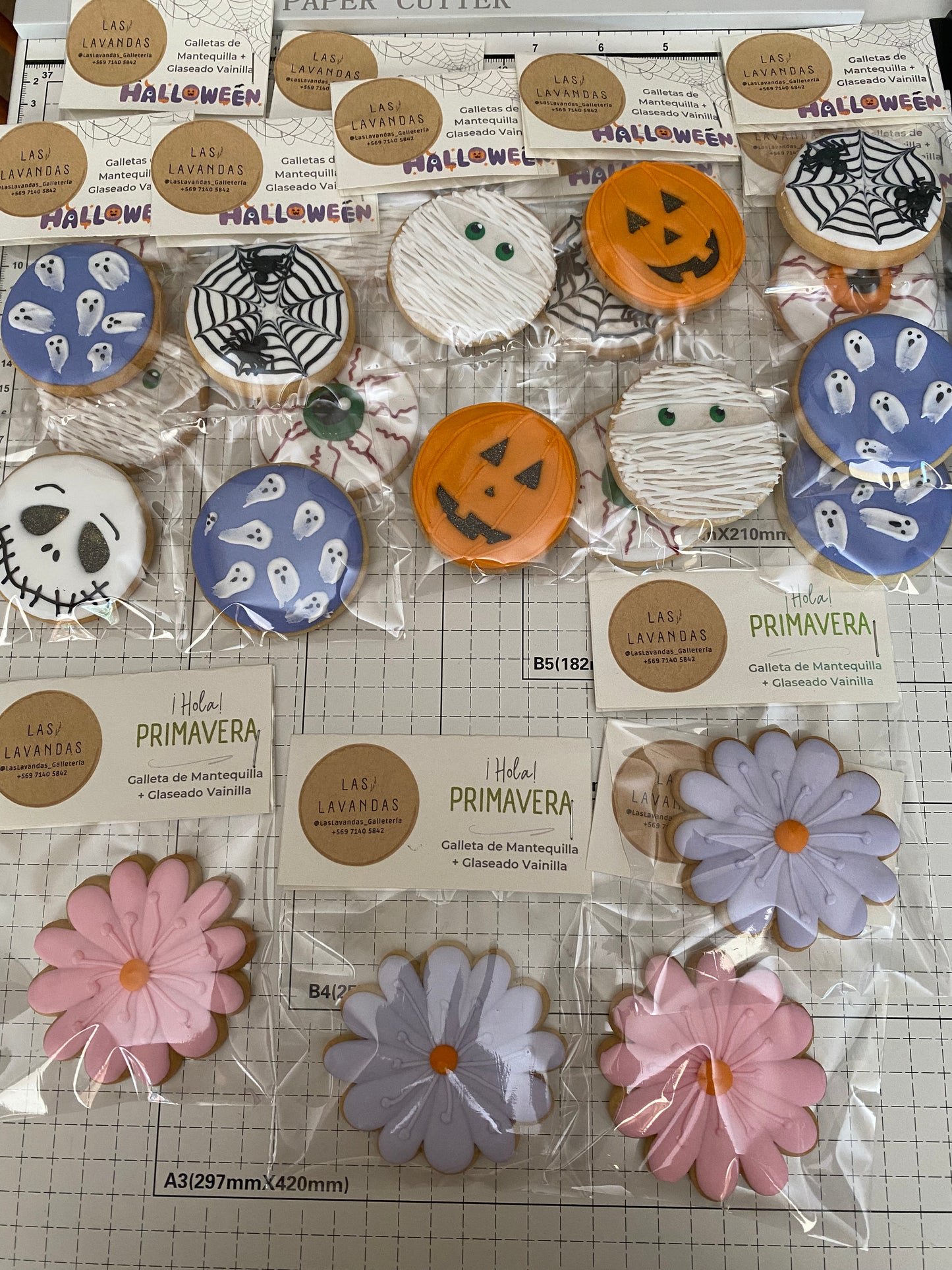 Celebraciones anuales - Halloween