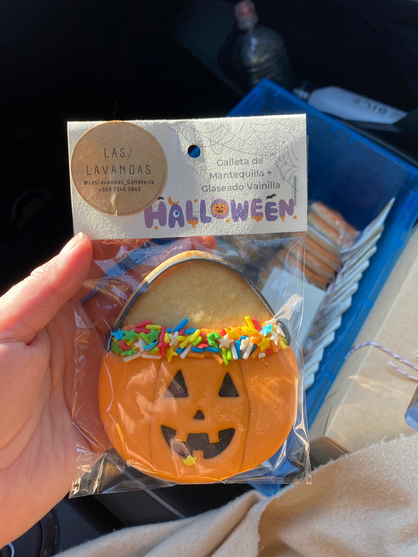 Celebraciones anuales - Halloween