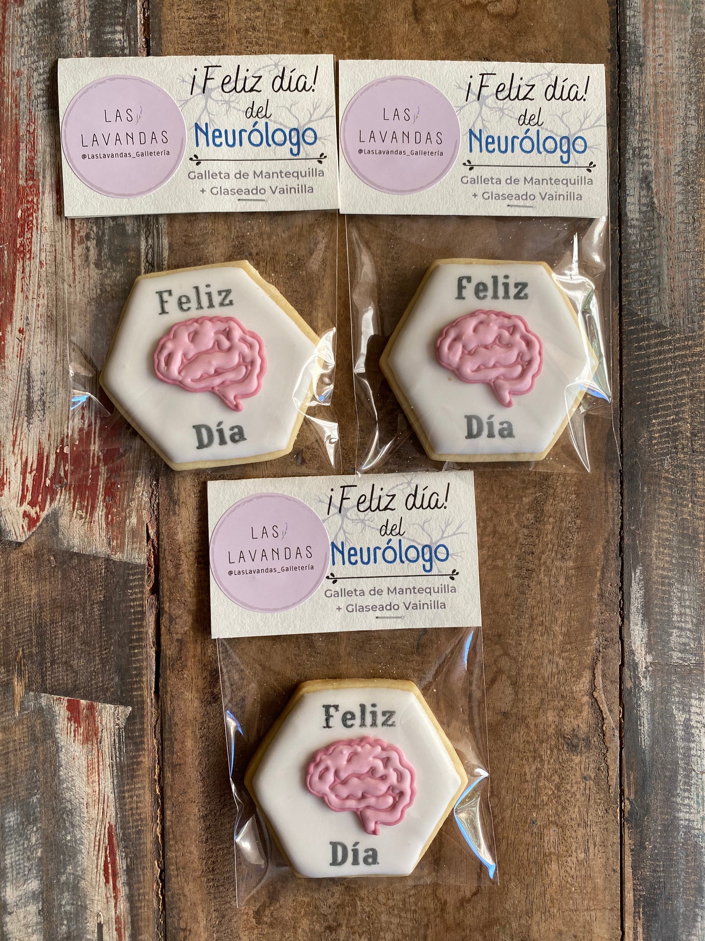 Celebraciones anuales - Día del Neurólogo