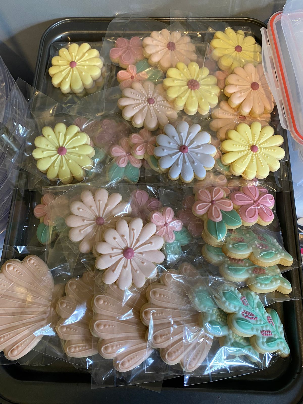 Temáticas Varias - Flores